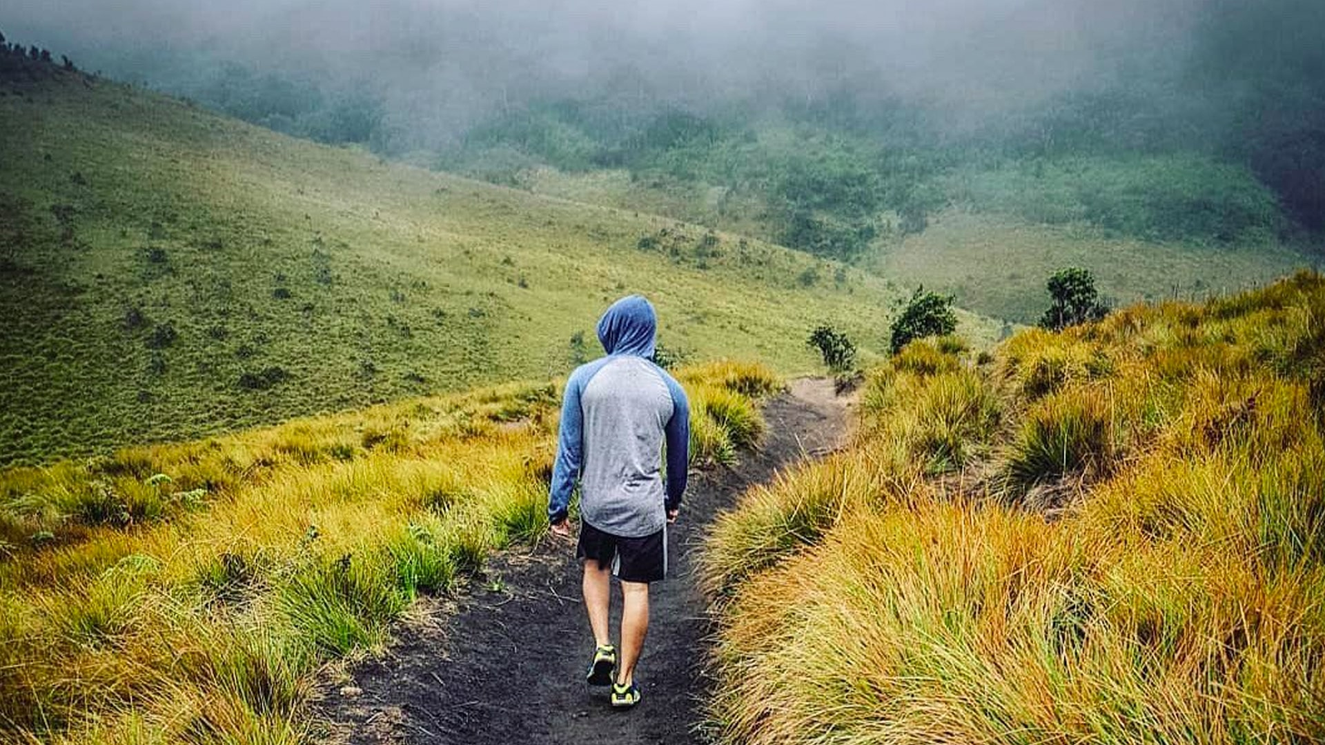 Horton Plains: A Hiker's Paradise
